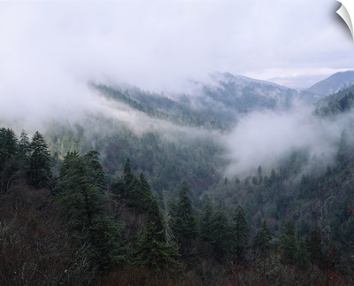 Fog over a mountain range, Cherokee, Swain County, North Carolina
