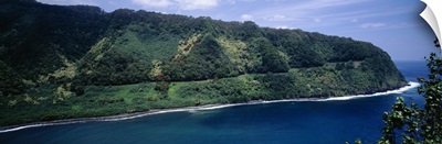 Forest on an island, Hana, Maui, Hawaii