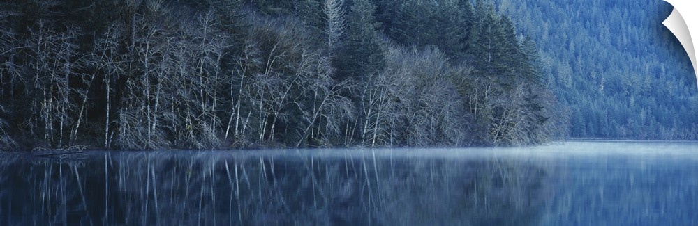 Forest reflecting into Lake Crescent on a misty morning, Olympic National Park, Washington.