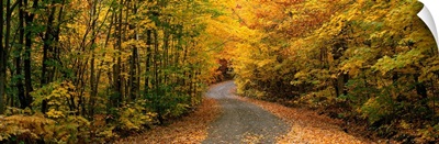 Forest Road near St. Hippolyte Laurentides Quebec Canada