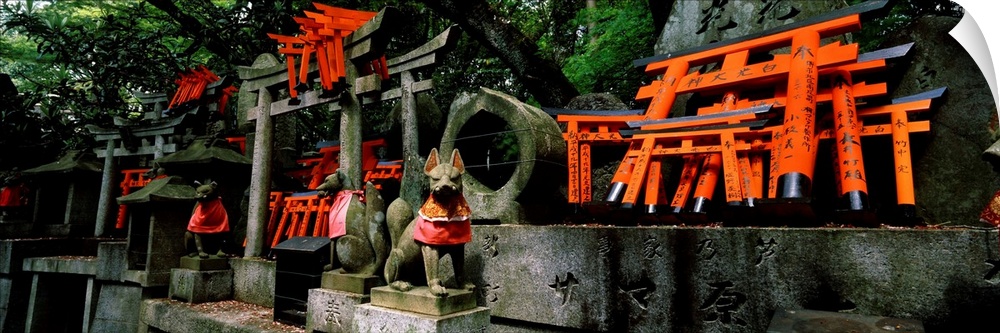 Fox statues with Torii gates at a shrine, Fushimi Inari-Taisha, Fushimi Ward, Kyoto, Kyoto Prefecture, Kinki Region, Honsh...