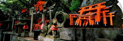 Fox statues with Torii gates at a shrine, Fushimi Inari-Taisha, Fushimi Ward, Kyoto, Kyoto Prefecture, Kinki Region, Honshu, Japan