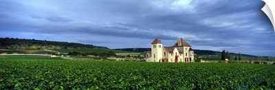 France, Burgundy, Grand Cru Vineyard