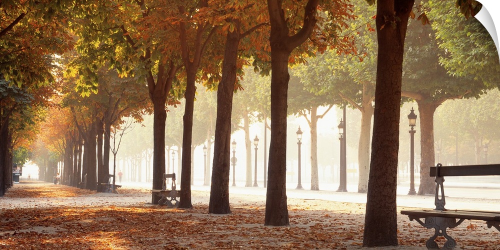 Wide angle view of a tree lined avenue through a park at autumn in Paris. Benches sit between the trunks of mature trees.