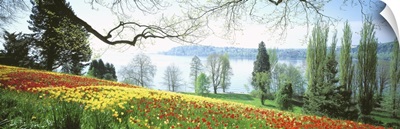 Garden Island of Mainau Lake Constance Germany