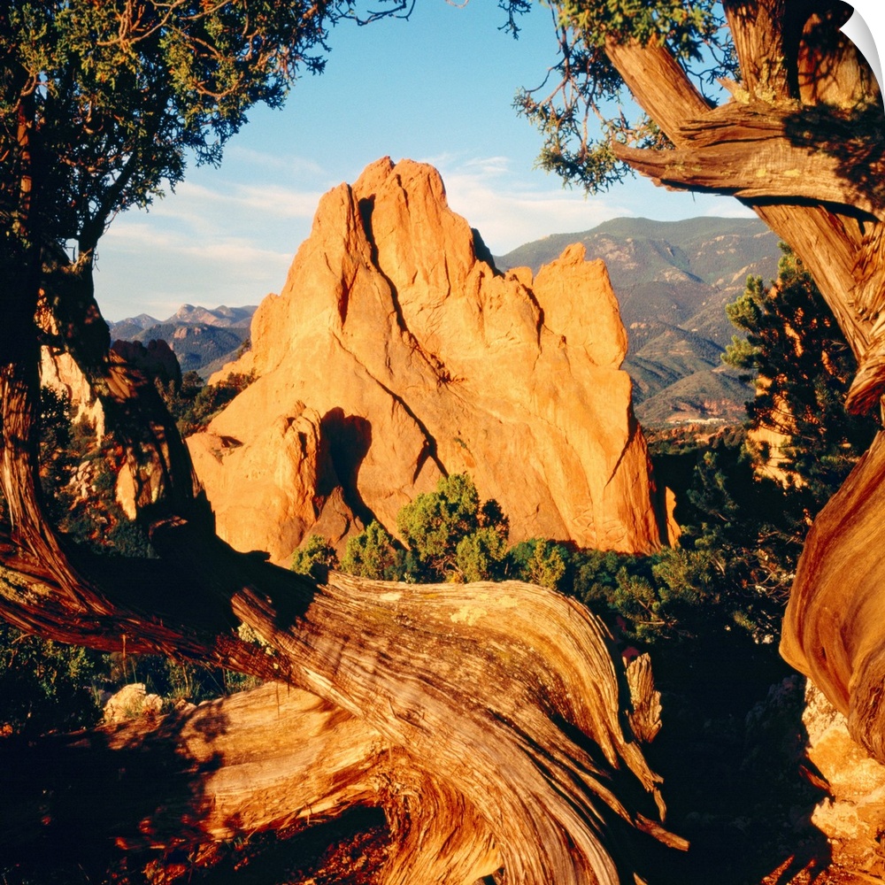 Dry, wind battered trees frame the edges of this landscape photograph of natural rock formations in the desert.