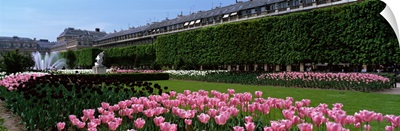 Gardens and Palais Royal Paris France