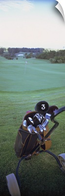 Golf clubs in a golf bag, Santo da Serra Course, Santo da Serra, Madeira, Portugal