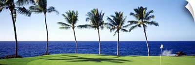 Golf Course Big Island HI