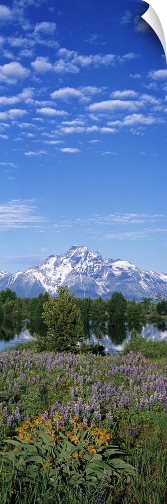 Grand Teton National Park WY