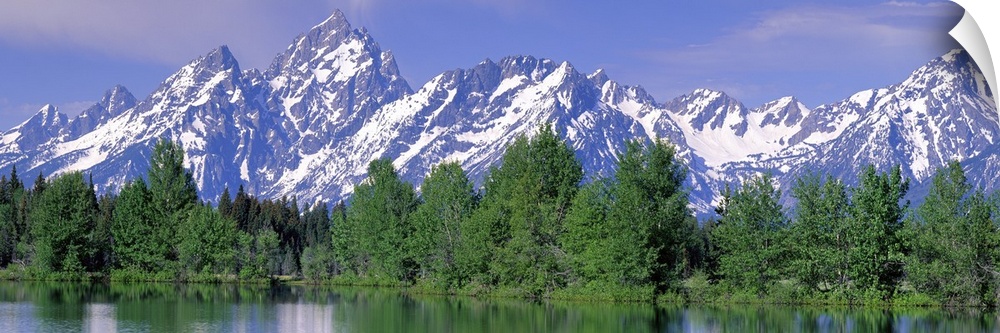 Panoramic photograph of snow covered mountains being a line of pine trees at the waters edge, in Grand Teton National Park...