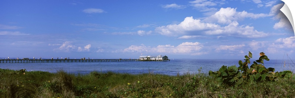 Grass on the beach with a pier in the background, Anna Maria Island City Pier, Tampa Bay, Gulf of Mexico, Anna Maria Islan...