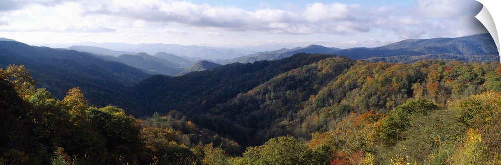 Panoramic, high angle photograph of tree tops covering the Great Smoky Mountains National Park in Tennessee.
