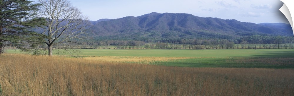 Panoramic photograph of open meadow with mountains in the distance under a clear sky.