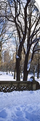 Group of people in a park, Central Park, Manhattan, New York City, New York