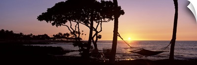 Hammock on the beach at sunset, Fairmont Orchid, Hawaii