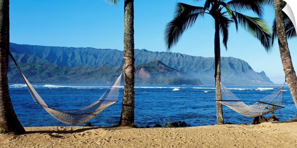 Panoramic photograph showcases a couple hammocks between palm trees on a beach within Hanalei Bay in Kauai, Hawaii.  In th...
