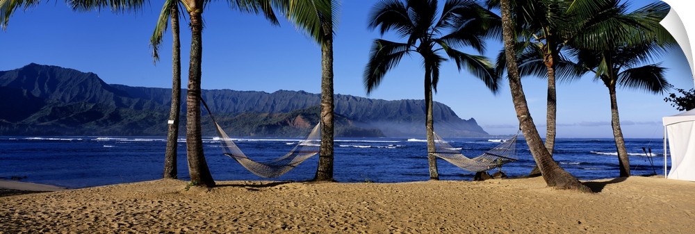 Panoramic print of two hammocks swaying between palm trees along the ocean with mountains in the distance.