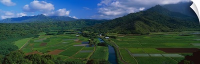 Hanalei Valley Overlook Kauai HI