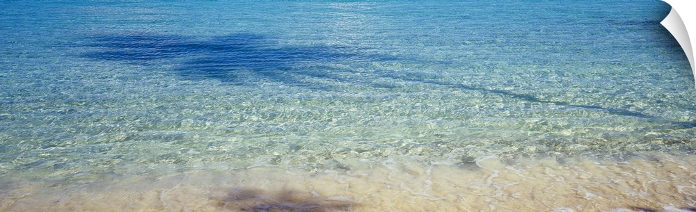 Panoramic photograph of crystal clear ocean water at shoreline with the shadow of palm tree reflecting in it.