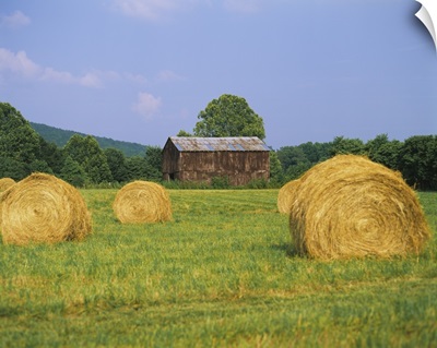 Hay bales in a field, Tennessee