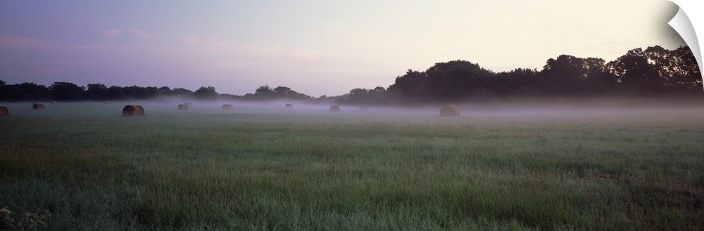 Hay bales in a field Texas