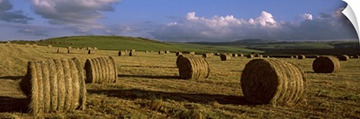 Hay bales in a field, Underberg, KwaZulu Natal, South Africa