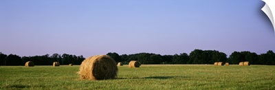 Hay bales Marion Co IL
