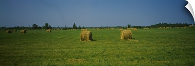 Hay bales on a field, Michigan