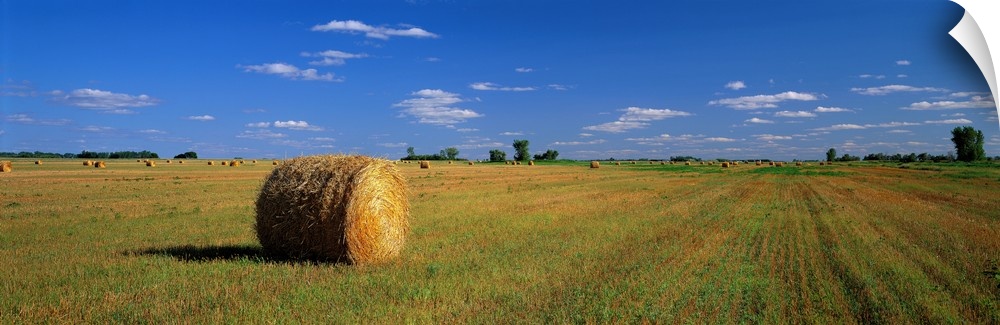 A large panoramic piece of a single bale of hay in a wide open field with an almost cloudless blue sky above.