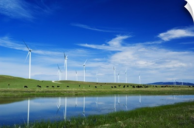 Herd of cattle grazing beneath row of wind farm turbines, reflection in pond water, Montana