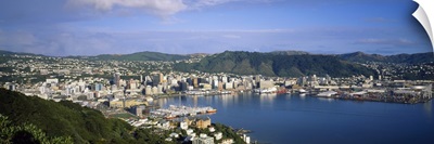 High angle view of a cityscape, Wellington, New Zealand