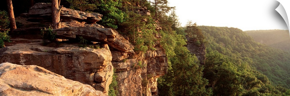 High angle view of a cliff, Creek Falls State Park, Tennessee