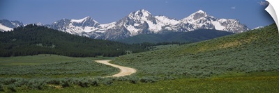 High angle view of a dirt road running through the field, Sawtooth National Recreation Area, Stanley, Idaho