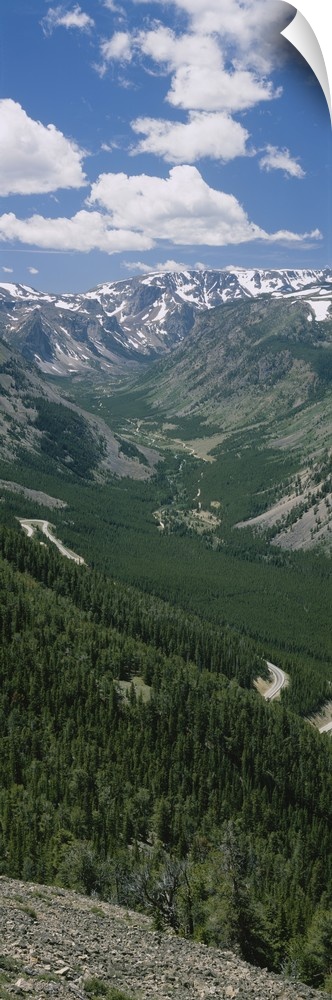 High angle view of a highway through a forest, Beartooth Highway, Beartooth Mountains, Montana