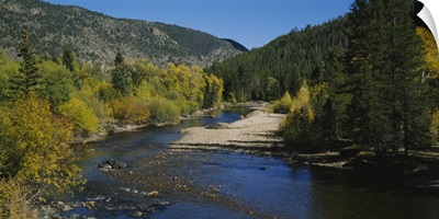 High angle view of a river in the forest, Cache La Poudre River, Colorado