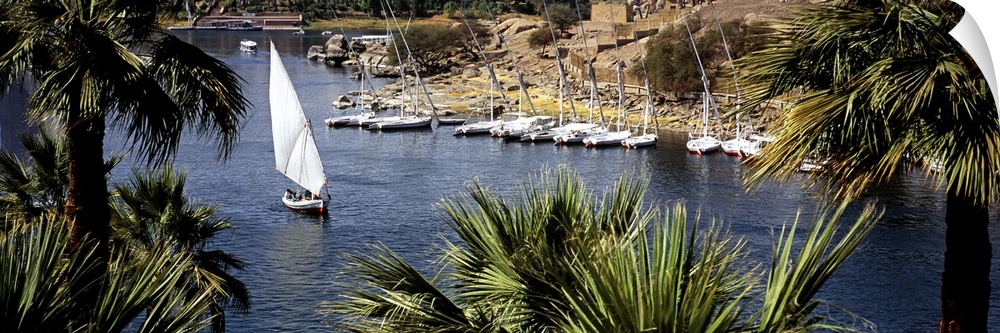 High angle view of a sailboat in a river, Nile River, Aswan, Egypt