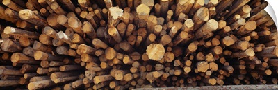 High angle view of a stack of logs, British Columbia, Canada
