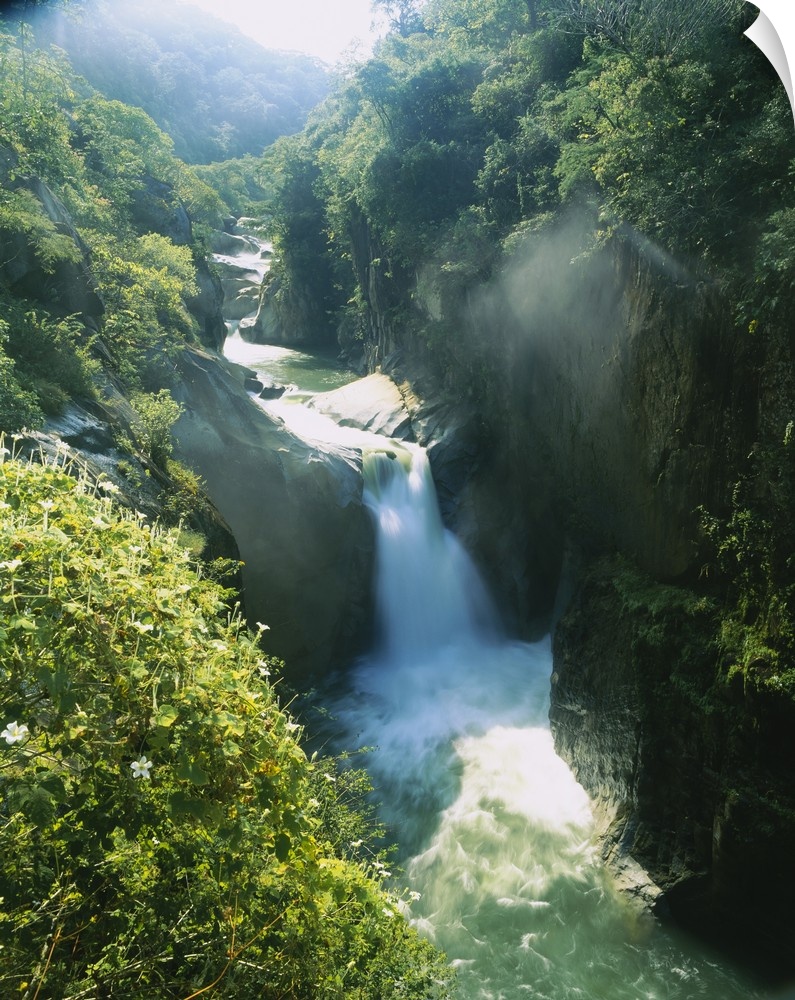 Big aerial photograph of a waterfall surrounded by rocky cliffs and lush, green forest, in Mexico.
