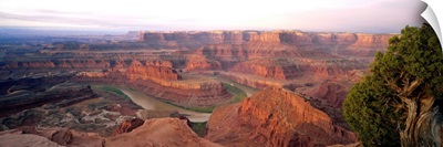 High angle view of an arid landscape, Canyonlands National Park, Utah