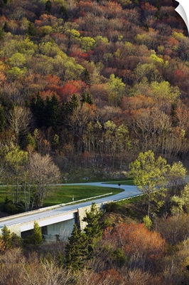 High angle view of Blue Ridge Parkway winding through trees, spring, North Carolina