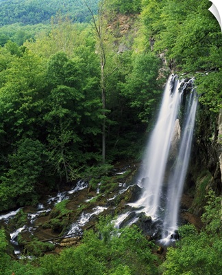 High angle view of Falling Spring Falls, George Washington National Forest, Virginia