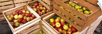 High angle view of harvested apples in wooden crates, Weinsberg, Baden-Wurttemberg, Germany