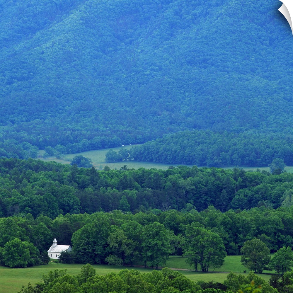 Oversized, portrait, high angle photograph of a small church sitting among a vast landscape of trees in Cades Cove.  A lar...