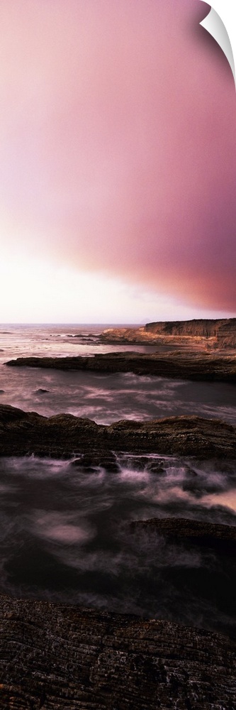 High angle view of rock formations in the sea, Montana De Oro State Park, California