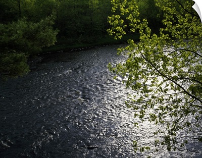 High angle view of sunlight on Kettle River, Saint Croix State Park, Minnesota
