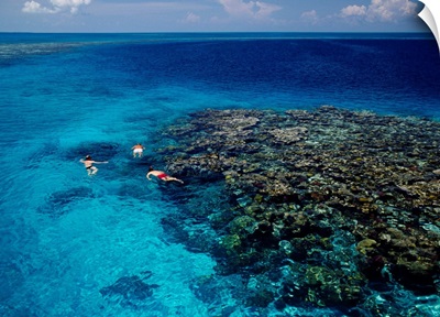 High angle view of three men snorkeling in the sea, Blue Hole, Lighthouse Reef, Belize