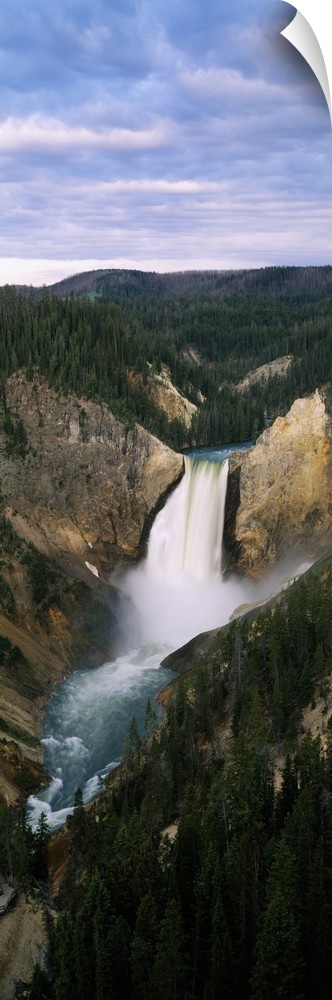 High angle view of waterfall in a forest, Yellowstone Falls, Yellowstone River, Yellowstone National Park, Wyoming
