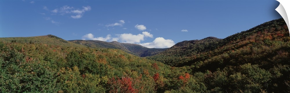 High angle view of White Mountain National Forest, New Hampshire