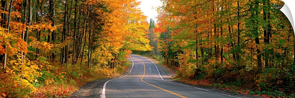 Highway Through a Forest Laurentides Quebec Canada